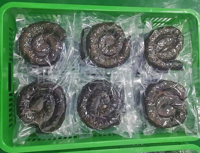客戶案例