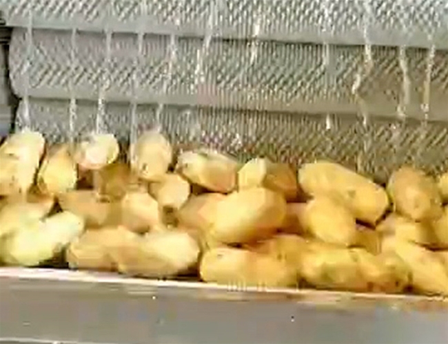 土豆毛輥清洗機